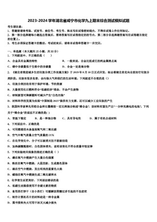 2023-2024学年湖北省咸宁市化学九上期末综合测试模拟试题含解析.doc