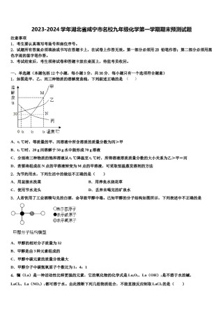 2023-2024学年湖北省咸宁市名校九年级化学第一学期期末预测试题含解析.doc