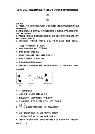 2023-2024学年湖北省咸宁市咸安区化学九上期中监测模拟试题含解析.doc