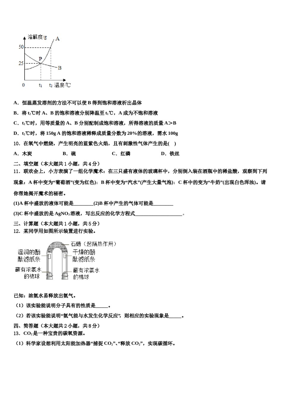 2023-2024学年湖北省咸宁市咸安区化学九上期末检测模拟试题含解析.doc_第3页