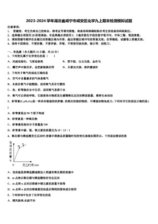 2023-2024学年湖北省咸宁市咸安区化学九上期末检测模拟试题含解析.doc