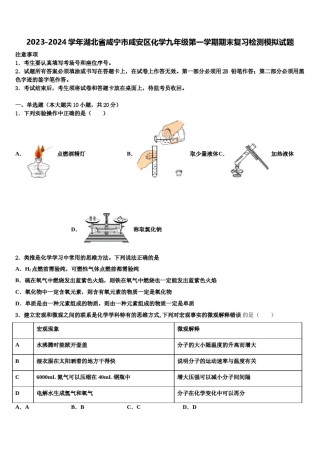 2023-2024学年湖北省咸宁市咸安区化学九年级第一学期期末复习检测模拟试题含解析.doc