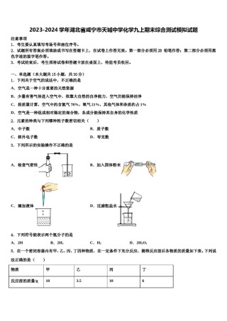 2023-2024学年湖北省咸宁市天城中学化学九上期末综合测试模拟试题含解析.doc