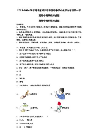 2023-2024学年湖北省咸宁市赤壁市中学小化学九年级第一学期期中调研模拟试题含解析.doc