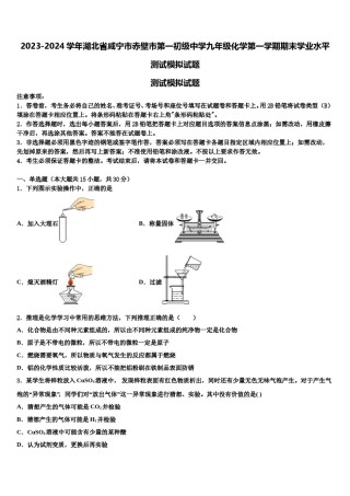 2023-2024学年湖北省咸宁市赤壁市第一初级中学九年级化学第一学期期末学业水平测试模拟试题含解析.doc