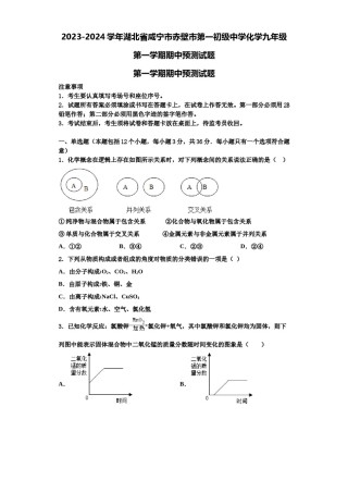 2023-2024学年湖北省咸宁市赤壁市第一初级中学化学九年级第一学期期中预测试题含解析.doc