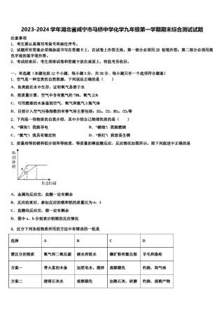 2023-2024学年湖北省咸宁市马桥中学化学九年级第一学期期末综合测试试题含解析.doc