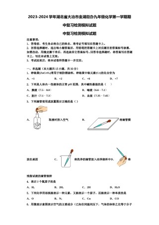 2023-2024学年湖北省大冶市金湖街办九年级化学第一学期期中复习检测模拟试题含解析.doc