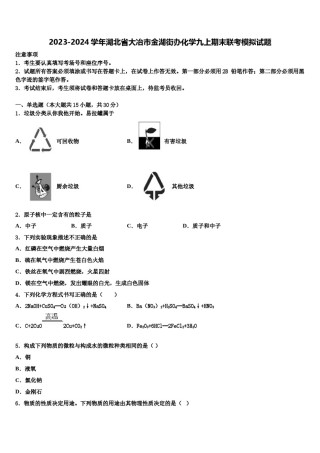 2023-2024学年湖北省大冶市金湖街办化学九上期末联考模拟试题含解析.doc