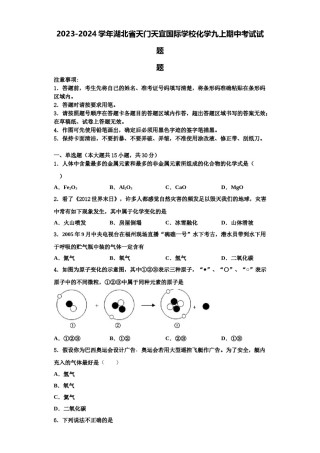 2023-2024学年湖北省天门天宜国际学校化学九上期中考试试题含解析.doc