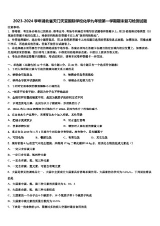 2023-2024学年湖北省天门天宜国际学校化学九年级第一学期期末复习检测试题含解析.doc