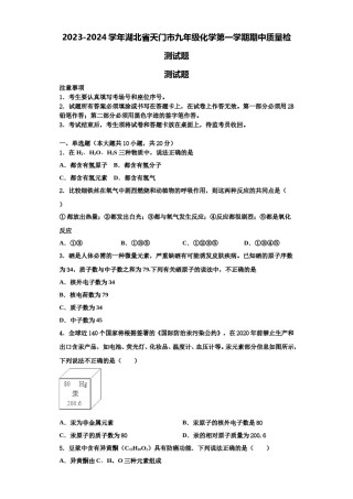 2023-2024学年湖北省天门市九年级化学第一学期期中质量检测试题含解析.doc