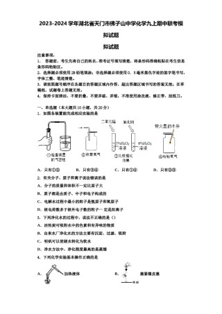 2023-2024学年湖北省天门市佛子山中学化学九上期中联考模拟试题含解析.doc