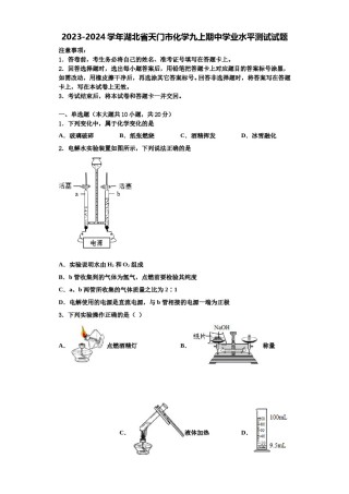 2023-2024学年湖北省天门市化学九上期中学业水平测试试题含解析.doc