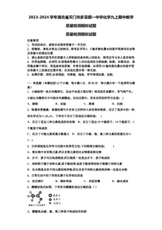 2023-2024学年湖北省天门市多宝镇一中学化学九上期中教学质量检测模拟试题含解析.doc