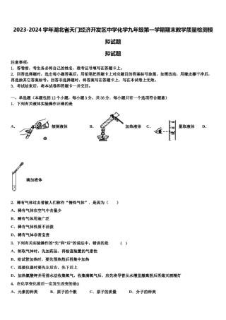 2023-2024学年湖北省天门经济开发区中学化学九年级第一学期期末教学质量检测模拟试题含解析.doc