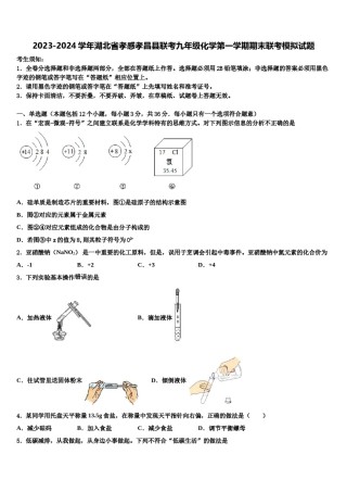 2023-2024学年湖北省孝感孝昌县联考九年级化学第一学期期末联考模拟试题含解析.doc