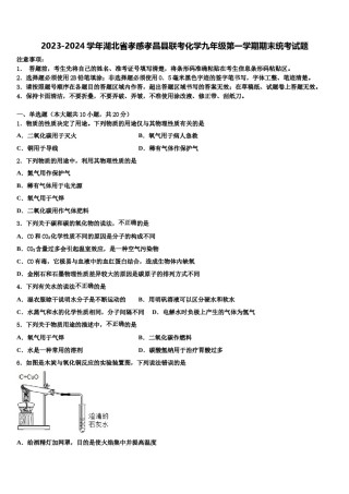 2023-2024学年湖北省孝感孝昌县联考化学九年级第一学期期末统考试题含解析.doc