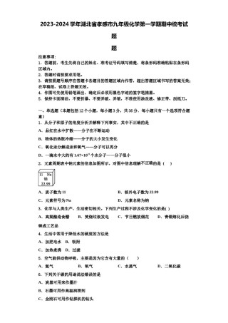 2023-2024学年湖北省孝感市九年级化学第一学期期中统考试题含解析.doc