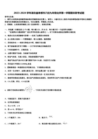 2023-2024学年湖北省孝感市八校九年级化学第一学期期末联考试题含解析.doc