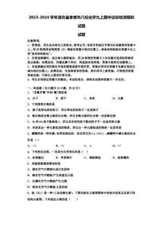 2023-2024学年湖北省孝感市八校化学九上期中达标检测模拟试题含解析.doc