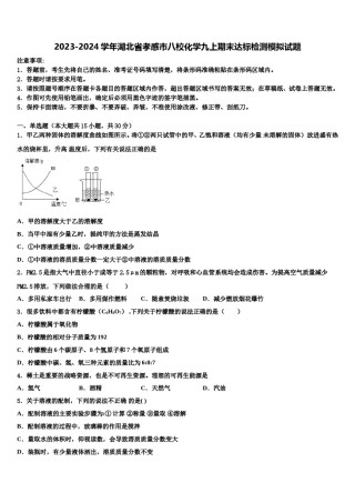 2023-2024学年湖北省孝感市八校化学九上期末达标检测模拟试题含解析.doc