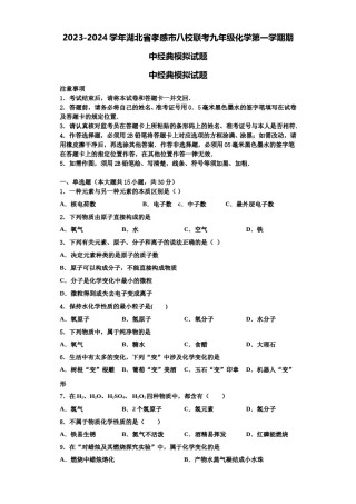 2023-2024学年湖北省孝感市八校联考九年级化学第一学期期中经典模拟试题含解析.doc