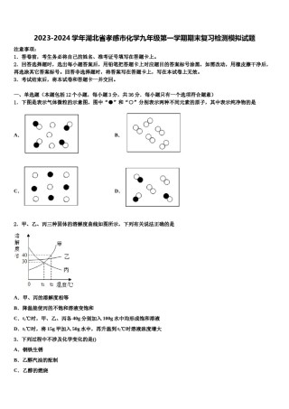 2023-2024学年湖北省孝感市化学九年级第一学期期末复习检测模拟试题含解析.doc