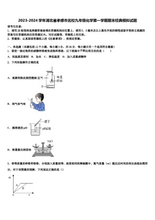 2023-2024学年湖北省孝感市名校九年级化学第一学期期末经典模拟试题含解析.doc