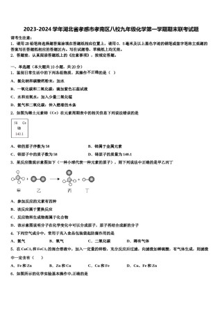 2023-2024学年湖北省孝感市孝南区八校九年级化学第一学期期末联考试题含解析.doc