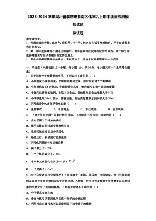 2023-2024学年湖北省孝感市孝南区化学九上期中质量检测模拟试题含解析.doc