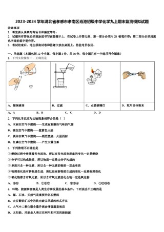 2023-2024学年湖北省孝感市孝南区肖港初级中学化学九上期末监测模拟试题含解析.doc