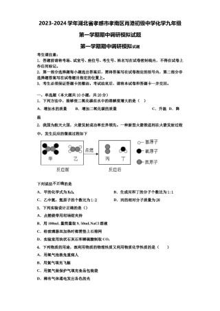 2023-2024学年湖北省孝感市孝南区肖港初级中学化学九年级第一学期期中调研模拟试题含解析.doc