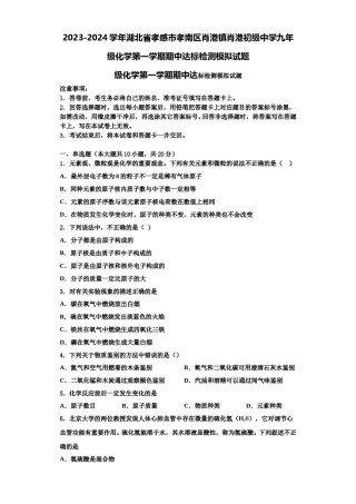 2023-2024学年湖北省孝感市孝南区肖港镇肖港初级中学九年级化学第一学期期中达标检测模拟试题含解析.doc