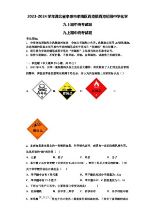 2023-2024学年湖北省孝感市孝南区肖港镇肖港初级中学化学九上期中统考试题含解析.doc