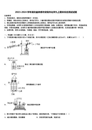 2023-2024学年湖北省孝感市安陆市化学九上期末综合测试试题含解析.doc
