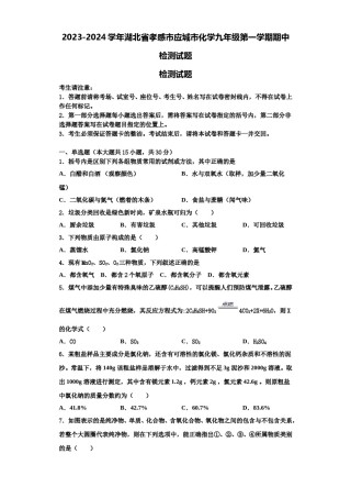 2023-2024学年湖北省孝感市应城市化学九年级第一学期期中检测试题含解析.doc