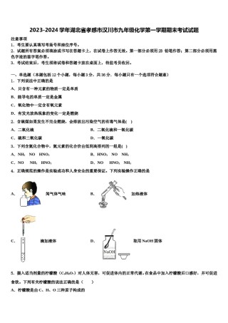 2023-2024学年湖北省孝感市汉川市九年级化学第一学期期末考试试题含解析.doc