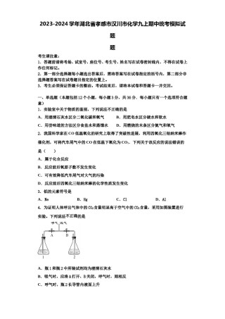 2023-2024学年湖北省孝感市汉川市化学九上期中统考模拟试题含解析.doc