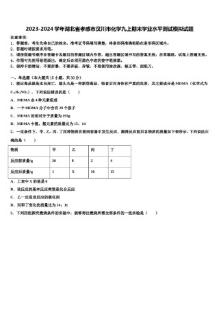 2023-2024学年湖北省孝感市汉川市化学九上期末学业水平测试模拟试题含解析.doc
