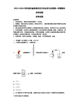 2023-2024学年湖北省孝感市汉川市化学九年级第一学期期中统考试题含解析.doc
