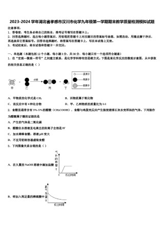2023-2024学年湖北省孝感市汉川市化学九年级第一学期期末教学质量检测模拟试题含解析.doc