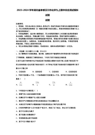 2023-2024学年湖北省孝感汉川市化学九上期中综合测试模拟试题含解析.doc