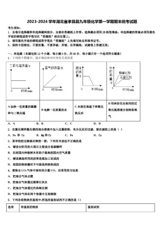 2023-2024学年湖北省孝昌县九年级化学第一学期期末统考试题含解析.doc