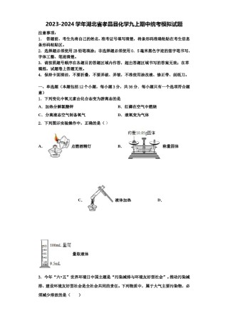 2023-2024学年湖北省孝昌县化学九上期中统考模拟试题含解析.doc