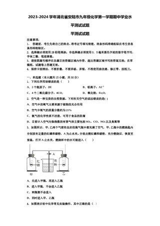2023-2024学年湖北省安陆市九年级化学第一学期期中学业水平测试试题含解析.doc