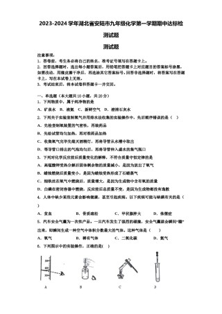 2023-2024学年湖北省安陆市九年级化学第一学期期中达标检测试题含解析.doc