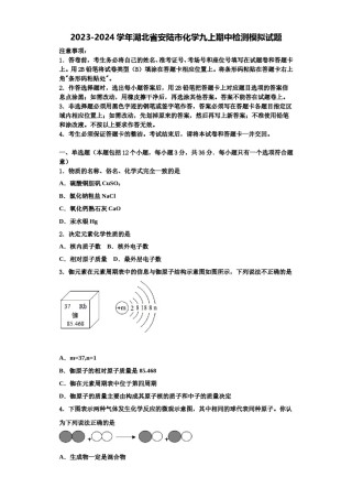 2023-2024学年湖北省安陆市化学九上期中检测模拟试题含解析.doc