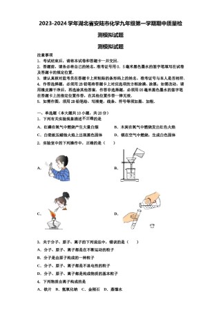 2023-2024学年湖北省安陆市化学九年级第一学期期中质量检测模拟试题含解析.doc