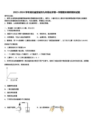 2023-2024学年湖北省宜城市九年级化学第一学期期末调研模拟试题含解析.doc